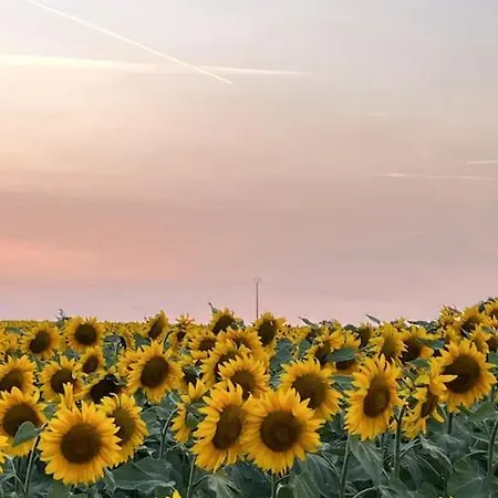 Maison Favori Hébergement de vacances