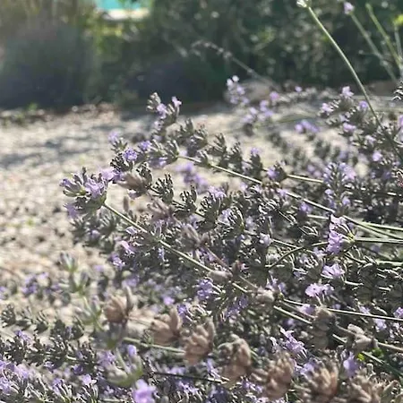 Hébergement de vacances Maison Favori