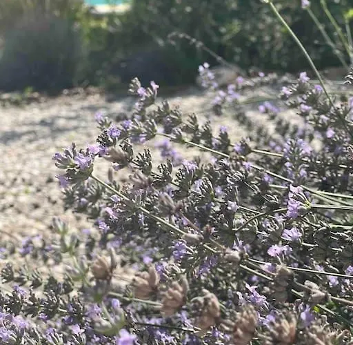 度假居 Maison Favori